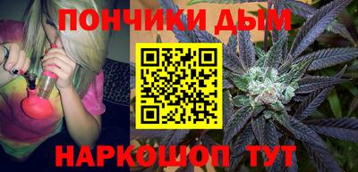 индика Ставрополь