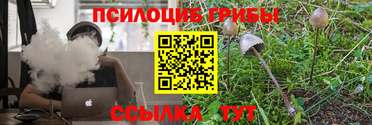 Псилоцибиновые грибы мухоморы Боровичи