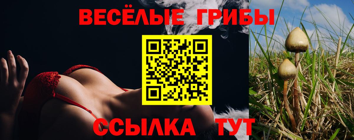 дарнет шоп  Вход с VPN  Боровичи  Галлюциногенные грибы Psilocybine cubensis 
